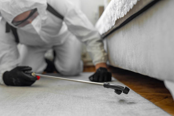 Professional Cockroach Control technician working in Menlo Park Terrace, NJ