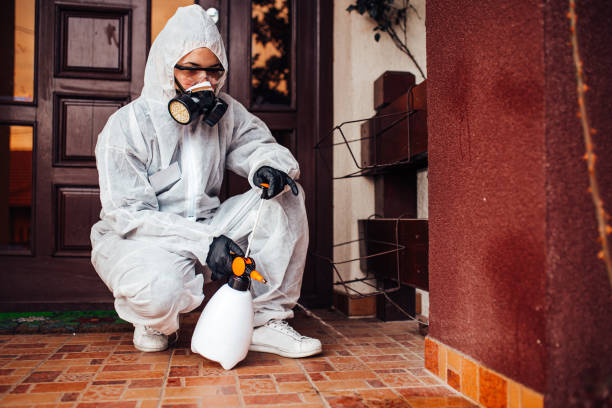 Reliable Cockroach Control contractor in Menlo Park Terrace, NJ by Nex Pest Control