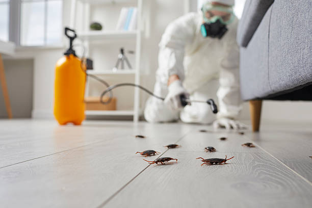 Affordable Cockroach Control solutions in Menlo Park Terrace, NJ